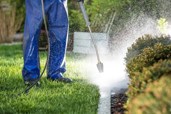 Cost of Curb Cleaning in New Braunfels