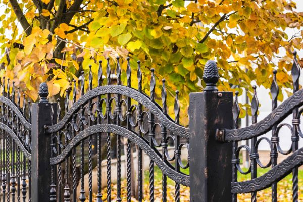 Cost of Wrought Iron Fence Washing in New Braunfels