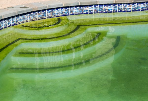 Cost of Pool Deck Algae Removal in New Braunfels