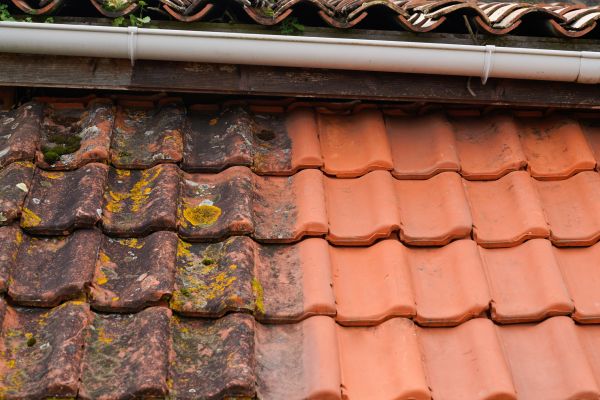 Industrial Roof Cleaning in New Braunfels