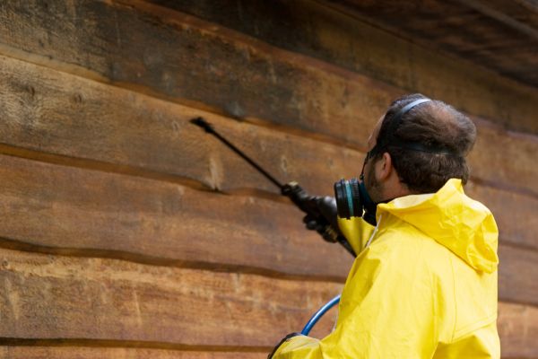 Cost of Cedar Siding Washing in New Braunfels