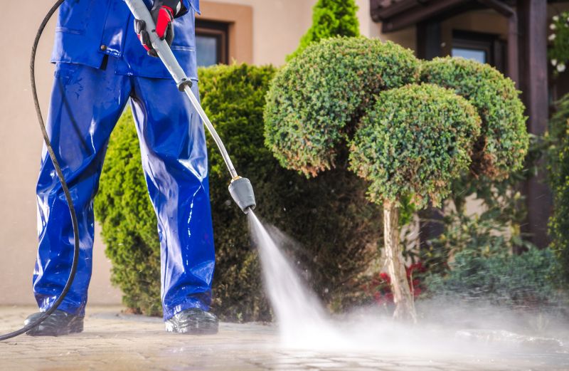 Driveway Pressure Washing
